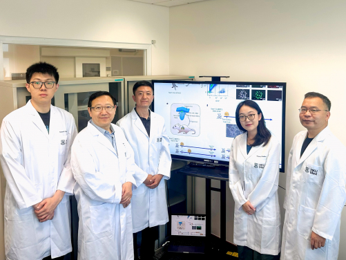 A research team, led by Dr Han Dong (third left) and Professor Liu Pengtao (second left), has discovered a previously unknown type of neural stem cell located outside the experimental mouse central nervous system, opening up transformative possibilities in regenerative medicine for treating neurological diseases and injuries.